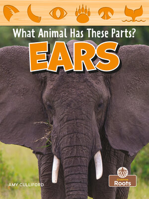 cover image of Ears